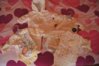 DSC01320.jpg
