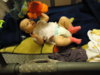 DSC03234.jpg