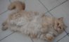 DSC05442.jpg