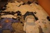 DSC01472.jpg