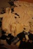 DSC01478.jpg