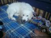 DSC00361.jpg