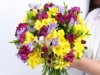 freesia-1.jpg