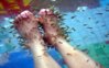 Garra-Rufa-Fish-Spa-feet-Therapy-Doctor-Fish-2.jpg