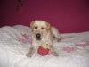 DSC05185.jpg