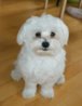 DSC05308.jpg
