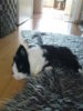 DSC00323.jpg DSC00323.jpg
