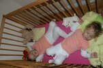 DSC02534.jpg