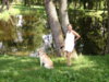 DSC05243.jpg
