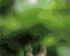 3769273_0.gif