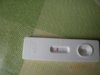 DSCN5388.jpg