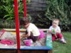 P1010445.jpg