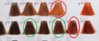 paleta.jpg