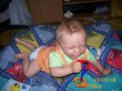 sebus2.JPG