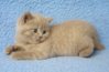 DSC00040a.JPG