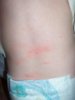 100_5756.jpg