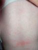 100_5755.jpg