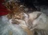 DSC00274.jpg