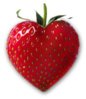 truskawka.jpg