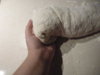DSCN4318.jpg