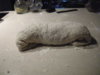 DSCN4319.jpg