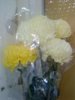 DSC01467.jpg