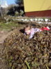 20111103930.jpg