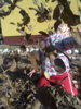 20111103937.jpg