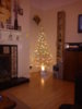 DSC00154.jpg