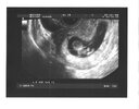baby single shot.jpg