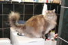 DSC00001.jpg