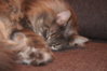 DSC00026.jpg