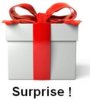GIFT-Surprise.jpg