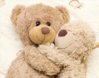 1f0cc2d1-9aab-43d3-b810-d1cabd504804_20090513110729_Normalshutterstock25020796.jpg
