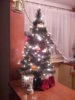 Zdjęcie0990.jpg