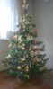 DSC00088.jpg