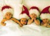 anne_geddes_christmas_babies11.jpg