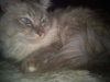 DSC00078.jpg
