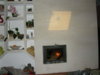 DSCN4415.jpg