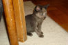 DSC00852.jpg
