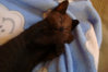 DSC00862.jpg