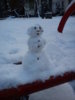 DSC00069.jpg