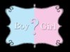 boy+or+girl.jpg