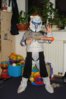 DSC09247.jpg