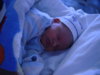 DSC02425.jpg