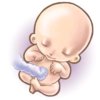 14-weeks-pregnant.jpg