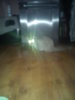 DSC00069.jpg