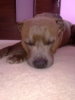 20100605004.jpg 20100605004.jpg
