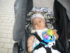 DSCN2363.jpg