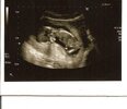 scan002001-1.jpg